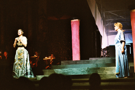 imm008